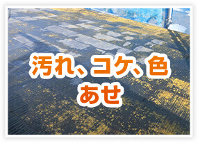 汚れ、コケ、色あせ